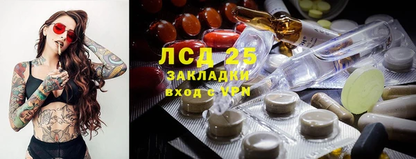 гидра Магас