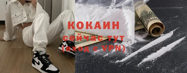 гидра Магас