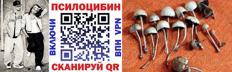 Галлюциногенные грибы прущие грибы  купить наркоту  Ряжск 